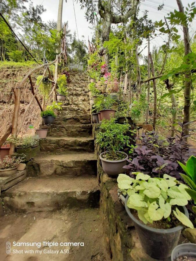 Biwon Homestay Ella Extérieur photo
